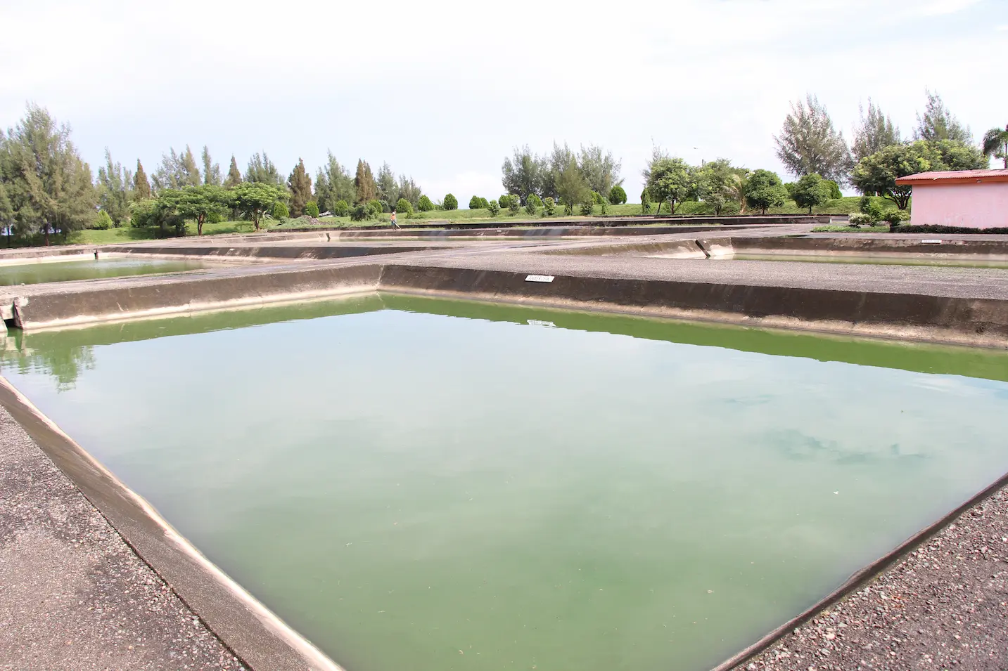 インドネシアの浄化槽汚泥処理施設にある安定化池の写真。いくつかの処理池が連結されており、各池には藻が発生した水が溜まっている。