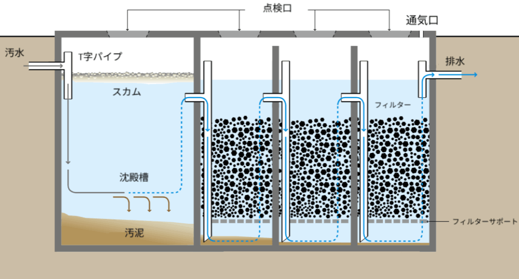 汚水処理に用いられる嫌気性フィルター（Anaerobic Filter）の構造図。左から、汚水が流入する沈殿槽（スカムと汚泥の層を形成）を経て、複数のろ過室へと流入する。各ろ過室には濾材（フィルター）が充填され、内部を下向きに流れることで有機物が分解される。最終的に右端から処理水が排出される。図中にはT字パイプ、点検口、通気口、フィルターサポートなどの構造要素が示されている。