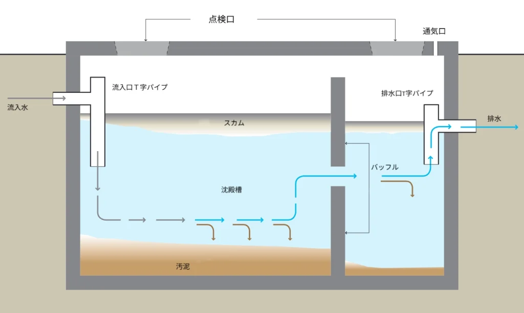 二槽式浄化槽（Septic Tank）の断面図。左側から流入した汚水が流入口T字パイプを通って沈殿槽に入り、浮遊物はスカムとして上層に、沈殿物は底部に汚泥として堆積している。中央のバッフル（仕切り板）を通過した比較的清澄な水が右側の槽に移動し、排水口T字パイプを通って外へ流出する構造が示されている。上部には点検口があり、清掃・点検用に開閉可能になっている。