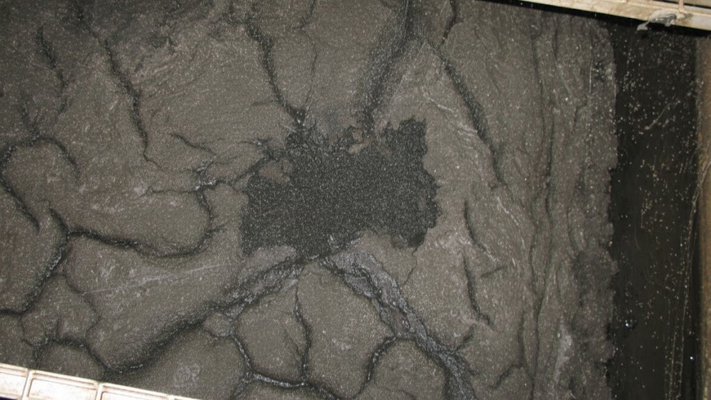 沈殿槽に浮上するスカムの写真