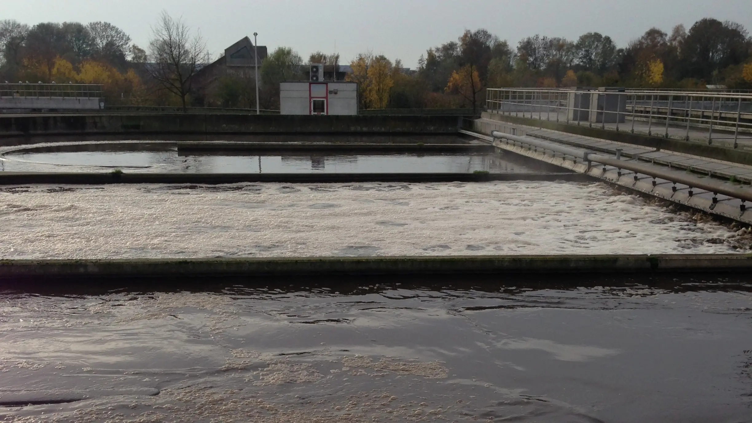 複数のコンクリート製ばっ気槽が並ぶ、活性汚泥処理設備の屋外写真です。茶褐色の汚水が白く泡立ちながら、微生物による有機分解が行われている様子を捉えています。背景には紅葉した樹木と、小さな管理棟が見える広々とした施設の風景です。