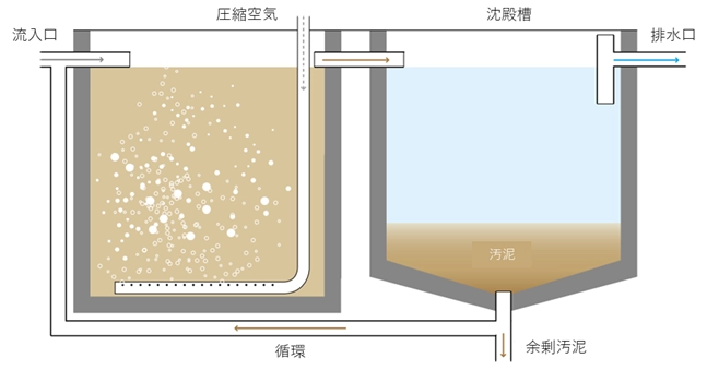 活性汚泥処理は、微生物（活性汚泥）の力を借りて汚水を浄化する代表的な好気性処理システムです。

図の左側にある「ばっ気槽」では、流入口から入った汚水に圧縮空気で酸素を送り込み、微生物を活発にさせて汚れを分解します。その後、中央の管を通って右側の「沈殿槽」へと水が送られ、ここで微生物の塊である汚泥（sludge）が底に沈みます。上澄みのきれいな水は排水口から排出され、沈んだ汚泥の一部は「循環」ラインを通って再びばっ気槽に戻され、余剰分は「引き抜かれた汚泥」として処理されます。