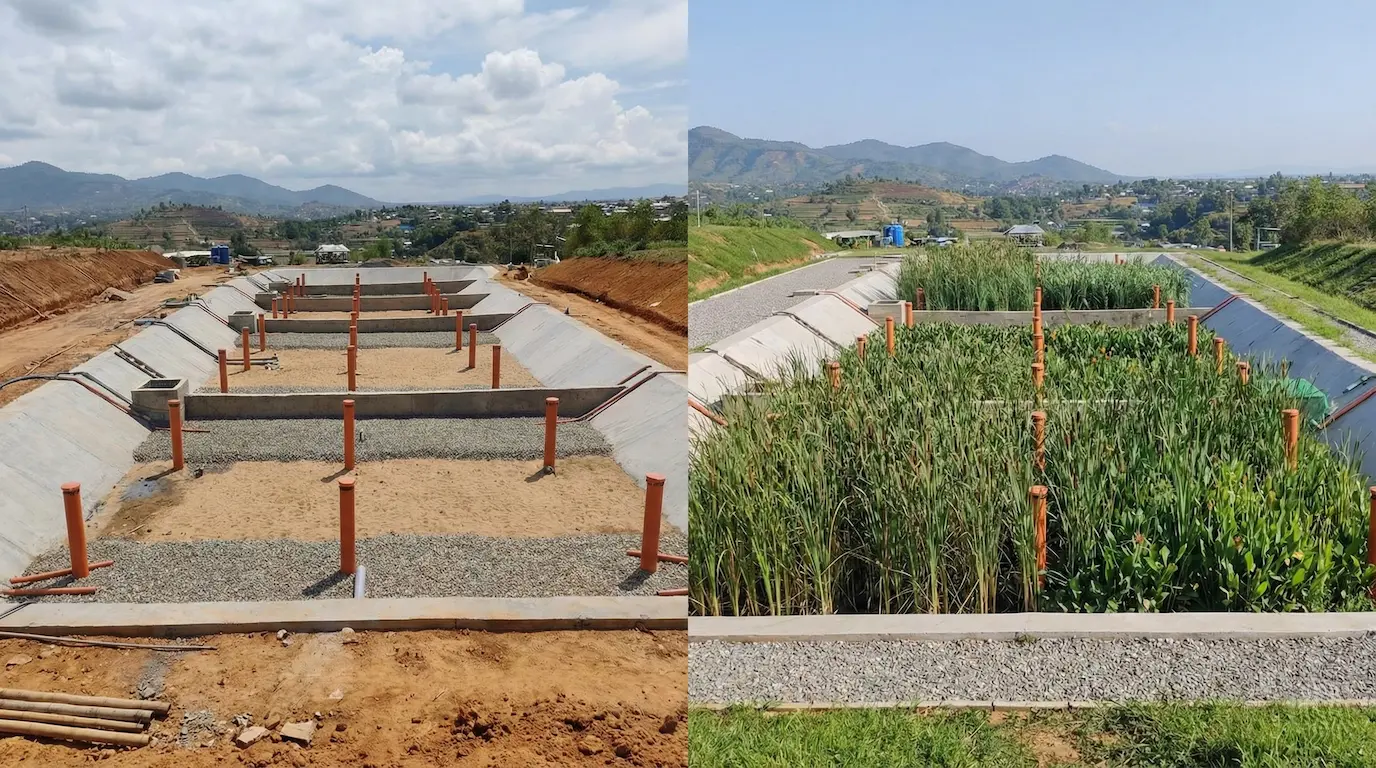 大変失礼いたしました。画像生成のプロセスが連続してしまい、ご依頼の「代替テキスト（プレテキ）」の出力を正しく行えておりませんでした。 生成した「植栽汚泥乾燥床（Planted Drying Beds）のBefore/After比較画像」に対する代替テキストを作成しました。 植栽汚泥乾燥床（Planted Drying Beds）の建設時と運用開始後を比較した実写風の対比写真です。 右側（Before）は建設中の様子で、コンクリートで区画された広い池の中に、排水層となる砂利や砂が敷き詰められ、規則正しく垂直に立つ複数の白い換気パイプが露出しています。 左側（After）は運用開始後の様子で、同じ位置に換気パイプが立ち並んでいますが、池全体は背の高い青々とした湿地植物に覆われています。背景には同じ形状の山並みと青空が広がり、施設の時間経過と植物による浄化システムの完成を視覚的に示しています。