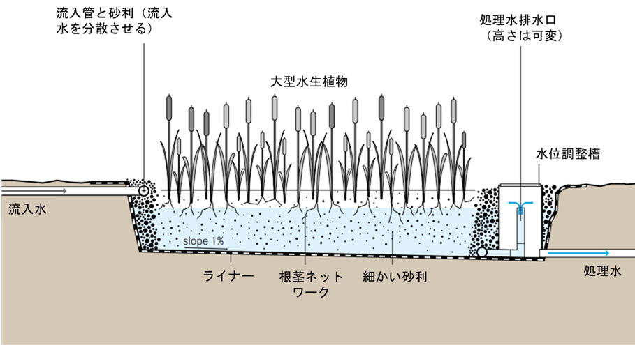 「水平流人工湿地」の仕組みを示す断面図です。左側の流入管から入った汚水が、砂利の層を水平に移動しながら、植栽された大型水生植物の根系ネットワークや微生物の働きによって浄化されるプロセスが描かれています。湿地の底には漏水を防ぐライナーが敷かれ、1%の傾斜（slope 1%）がついています。浄化された水は右側の水位調整槽を経て、処理水排水口から送り出される構造が示されています。
