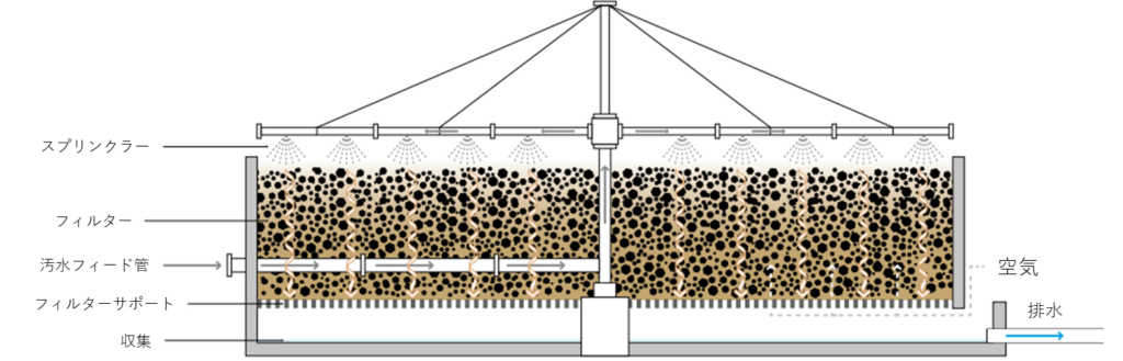 散水ろ床は、汚水をフィルター層の表面に散布し、重力で滴り落ちる過程で微生物の膜によって浄化する生物学的処理システムです。

図では、汚水フィード管から供給された水が、スプリンクラーからフィルター（ろ材）へ散布される構造が示されています。汚水が砂利などのろ材を垂直に通過する際、層内に供給される空気と接触しながら微生物膜が有機物を分解します。浄化された水は底部のフィルターサポートを抜けて収集され、排水口へと導かれる仕組みを描いています。
