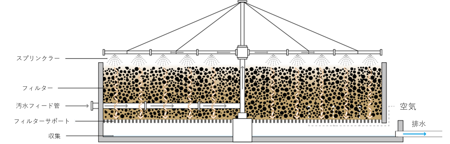 散水ろ床は、汚水をフィルター層の表面に散布し、重力で滴り落ちる過程で微生物の膜によって浄化する生物学的処理システムです。

図では、汚水フィード管から供給された水が、スプリンクラーからフィルター（ろ材）へ散布される構造が示されています。汚水が砂利などのろ材を垂直に通過する際、層内に供給される空気と接触しながら微生物膜が有機物を分解します。浄化された水は底部のフィルターサポートを抜けて収集され、排水口へと導かれる仕組みを描いています。