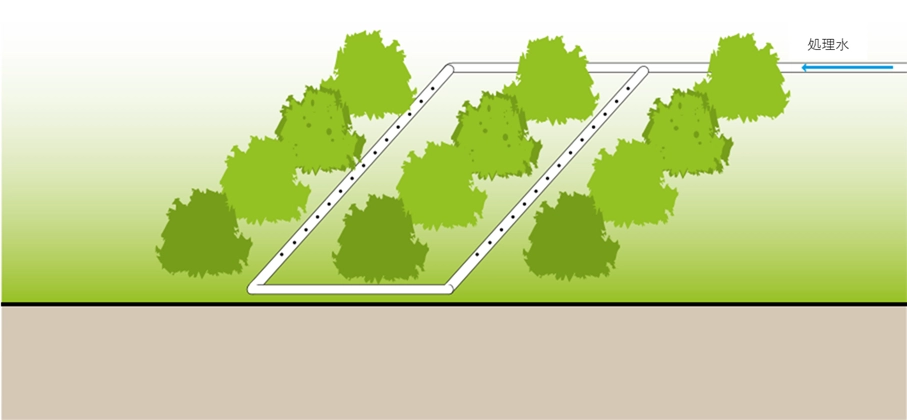 灌漑システムを用いて、高度に処理された「処理水」を樹木などの植物に供給する様子を描いた図です。地表に張り巡らされた白いパイプには等間隔に穴が開いており、そこから水が滴り落ちて植物の根元へ効率よく給水される「点滴灌漑」の仕組みが示されています。処理された排水を農業や緑化に再利用する、持続可能な水資源管理を表現しています。