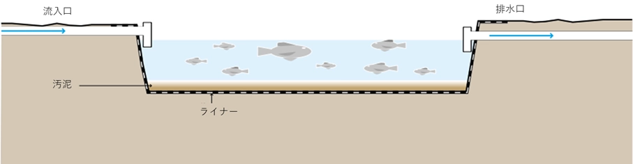 排水処理システムの一環として利用される「養魚池」の断面構造図です。左側の流入口から入った処理水が、遮水シート(ライナー)で保護された池に貯められています。池の中では魚が泳いでおり、排水に含まれる栄養分(藻類など)を摂取して成長する様子が描かれています。底には「汚泥」が沈殿しており、右側の排水口からはさらに処理が進んだ水が流出する仕組みです。排水の浄化とタンパク質源(魚)の生産を同時に行う資源循環のプロセスを表現しています。
