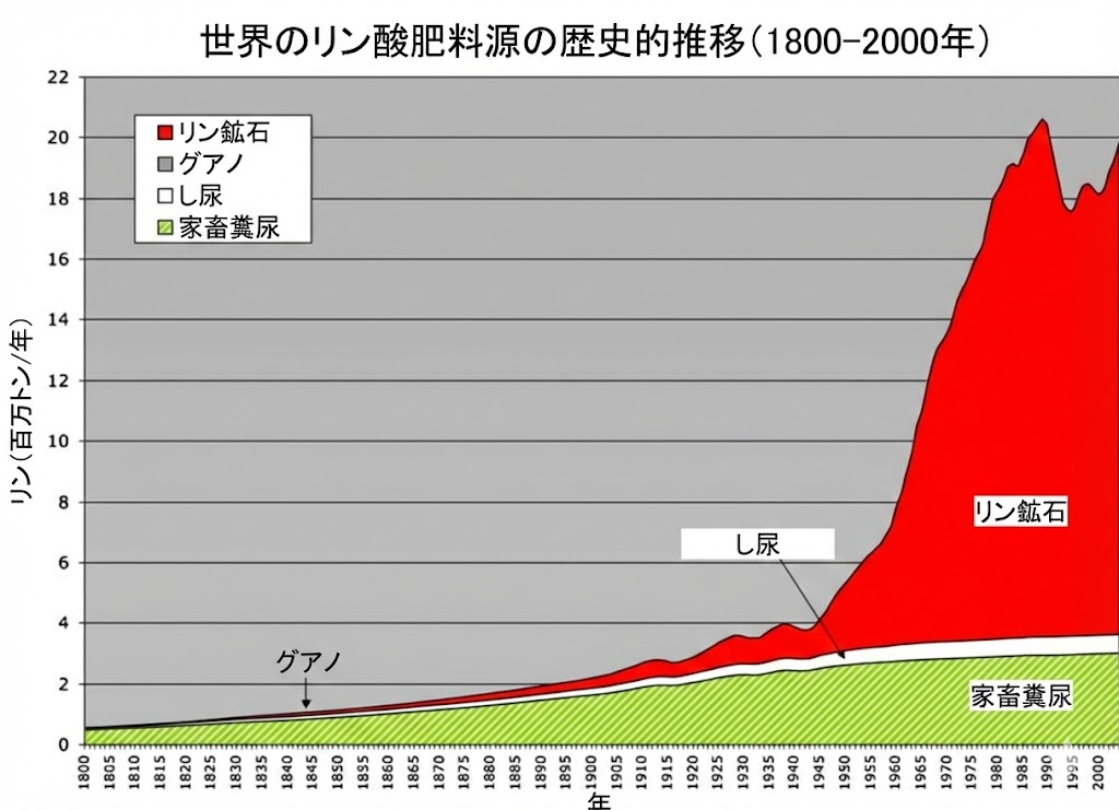 肥料として利用されるリン源（家畜糞尿、し尿、グアノ、リン鉱石）の歴史的推移。現代は化学肥料の原料として鉱山から採掘される「リン鉱石」に深く依存していることが示されている。